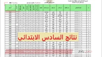 فرحة النجاح… إعلان نتائج السادس الابتدائي الدور الأول 2025 في الرصافة 1 والكرخ 3 عبر موقع نتائجنا