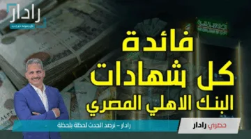 شهادات البنك الأهلي المصري الادخارية 2025: حلول متنوعة وعوائد تنافسية تقدر بـ 28%