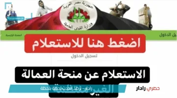 الآن.. رابط وخطوات الاستعلام عن منحة العمالة الغير منتظمة 2025 عبر manpower.gov.eg وشروط استحقاقها