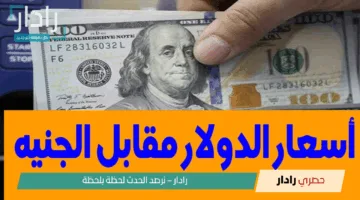 استقرار نسبي في سعر الدولار مقابل الجنيه المصري وسط تقلبات الأسواق العالمية