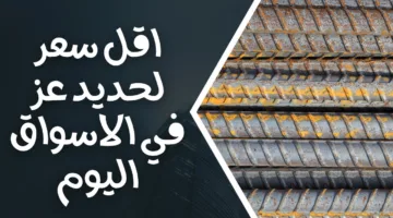 (عز والمصريين والعتال) سعر طن الحديد اليوم الأربعاء 14 مايو 2025 في مختلف الشركات والمصانع