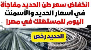 حديد عز بكام؟ سعر طن الحديد اليوم الاحد 18 مايو 2025 في مختلف الشركات والمصانع