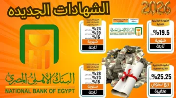شهادات البنك الأهلي المصري 2025.. فرص استثمارية بعوائد مرتفعة تصل إلى 24%