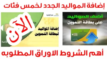 خطوات إضافة المواليد على بطاقة التموين 2025 عبر بوابة مصر الرقمية والفئات المستحقة