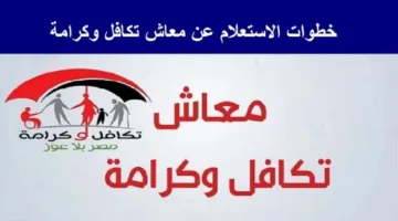 “إعرف حالة قبولك” الاستعلام عن الأسماء الجدد في تكافل وكرامة 2025 عبر موقع وزارة التضامن الاجتماعي