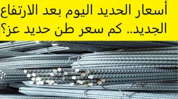 عز بكام؟ سعر طن الحديد اليوم الثلاثاء 13 – 5 – 2025 في مختلف الشركات والمصانع المصرية