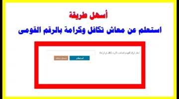 “إعرف تفاصيل معاشك” الاستعلام عن تكافل وكرامة بالرقم القومي 2025 عبر موقع وزارة التضامن الاجتماعي tk.moss.gov.eg