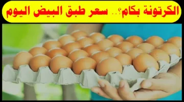 (ابيض واحمر وبلدي) سعر كرتونة البيض اليوم في الأسواق المصرية وبورصة الدواجن الرئيسية