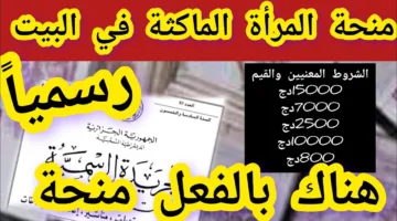 “احصلي على 8000 دينار” التسجيل في منحة المرأة الماكثة بالبيت في الجزائر  2025 عبر موقع الوكالة الوطنية