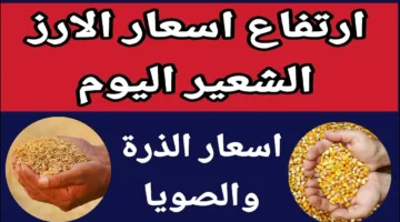سعر طن الأرز الشعير اليوم الاثنين 12 مايو 2025 للتجار في مصر (الرفيع والعريض)