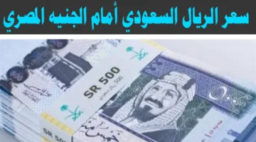 “ارتفاع السعودي”.. سعر الريال السعودي مقابل الجنيه المصري اليوم في البنوك والسوق السوداء