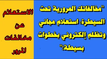 الاستعلام عن مخالفات المرور الكترونيًا عبر بوابة مصر الرقيمة digital.gov.eg برقم اللوحة