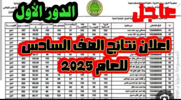  برقمك الامتحاني.. نتائج السادس ابتدائي الدور الاول 2025 في محافظة النجف والانبار وكربلاء عبر موقع نتائجنا 