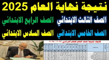 الان.. نتيجة الصف الرابع والخامس والسادس الابتدائي الترم الثاني 2025