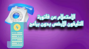 اعرف فاتورتك.. الاستعلام عن فاتورة التليفون الأرضي 2025 عبر موقع الشركة المصرية للاتصالات te.eg