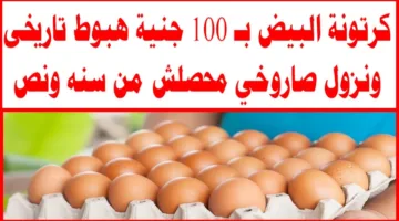 الكرتونة بكام؟ سعر البيض الأحمر اليوم في بورصة الدواجن والأسواق المصرية للمستهلكين