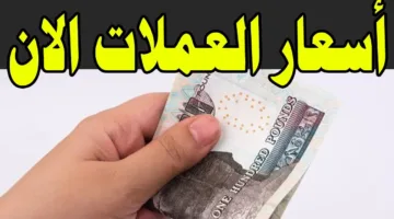 “دولار، ريال، يورو” ارتفاع أسعار العملات اليوم مقابل الجنية المصري في مختلف البنوك
