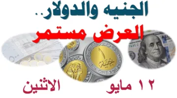 ارتفاع سعر الدولار اليوم مقابل الجنيه المصري في البنوك المصرية والسوق السوداء.. تحديث جديد للبيع والشراء