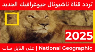 اضبط تردد قناة ناشيونال جيوغرافيك نايل سات 2025 لرحلة ممتعه في عالم الطبيعة والعلوم
