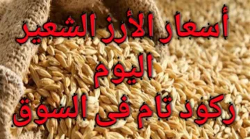الطويل والعريض بكام؟ سعر الأرز الشعير اليوم الاحد 11 مايو 2025 للمستهلكين والتجار في مصر