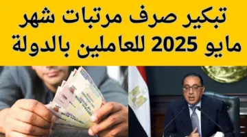 رسميًا تبكير صرف مرتبات شهر مايو 2025 لعاملي القطاع الحكومي بقرار من المالية