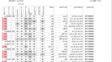 رابط رسمي …. الان نتائج السادس الابتدائي 2025 دور اول فور ظهورها من موقع الوزارة
