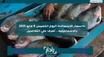 «أسعار الأسماك» اليوم الخميس 8 مايو 2025 بالإسماعيلية.. تعرف على التفاصيل