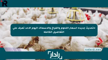 «تحديث جديد» أسعار اللحوم والفراخ والأسماك اليوم الأحد تعرف على التفاصيل الكاملة