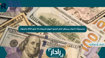 «رسمياً» الدولار يستقر أمام الجنيه اليوم الأربعاء 14 مايو 2025 بالبنوك