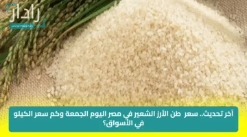 آخر تحديث.. سعر  طن الأرز الشعير في مصر اليوم الجمعة وكم سعر الكيلو في الأسواق؟