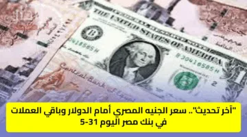 “آخر تحديث”.. سعر الجنيه المصري أمام الدولار وباقي العملات في بنك مصر اليوم 31-5