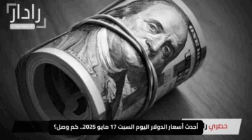 “الأخضر يُفاجئ الجميع!”.. أحدث أسعار الدولار اليوم السبت 17 مايو 2025.. كم وصل؟