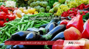 تعرف على أسعار الخضروات اليوم في سوق العبور: استقرار نسبي مع توقعات جديدة