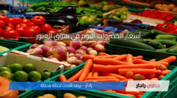 “البطاطس بكام”.. أسعار الخضروات والفاكهة اليوم في سوق العبور.. التفاصيل الكاملة