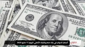 “الأخضر يتحدى التوقعات”.. أسعار الدولار في بنك مصر والبنك الأهلي اليوم 17 مايو 2025
