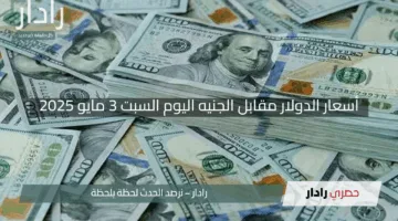 “كم يساوي الأخضر اليوم؟”.. أسعار الدولار مقابل الجنيه اليوم السبت 3 مايو 2025 في البنوك