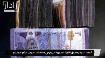 “ثبات وتألق”.. أسعار الدولار مقابل الليرة السورية اليوم في محافظات سوريا للشراء والبيع