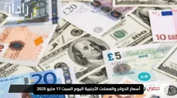 “التعاملات المسائية”.. أسعار الدولار والعملات الأجنبية اليوم السبت 17 مايو 2025