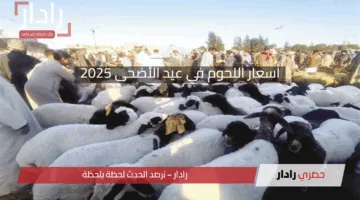 أسعار اللحوم في عيد الأضحى 2025: واقع السوق وأسباب الزيادة
