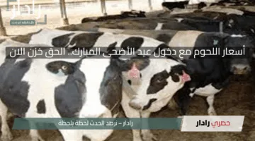 أسعار اللحوم مع دخول عيد الأضحى المبارك.. الحق خزن الان