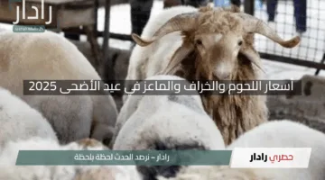 “توقعات وتفاصيل تُهمك”.. أسعار اللحوم والخراف والماعز في عيد الأضحى 2025