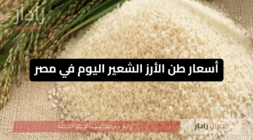 شيكارة الأرز بكام؟.. تعرف على أسعار طن الأرز الشعير والأرز الأبيض اليوم الجمعة 16 مايو 2025 في الأسواق المحلية المصرية