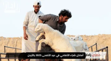 أماكن شراء الأضاحي في عيد الأضحى 2025 بالأردن دليلك الكامل لاختيار الأضحية المثالية بأسعار منافسة