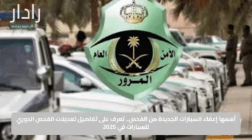 أهمها إعفاء السيارات الجديدة من الفحص.. تعرف على تفاصيل تعديلات الفحص الدوري للسيارات في 2025