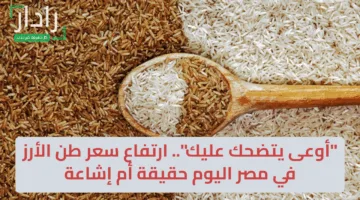 “أوعى يتضحك عليك”.. ارتفاع سعر طن الأرز في مصر اليوم  لـ 3 أضعاف حقيقة أم إشاعة