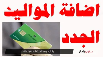 سجل الآن.. شروط وخطوات إضافة مواليد على بطاقة التموين 2025 عبر digital.gov.eg