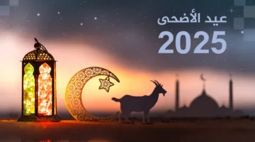 اجازة عيد الاضحى المبارك ورأس السنة الهجرية يجتمعان في يونيو .. 13 يومًا من الإجازات الرسمية في انتظارك