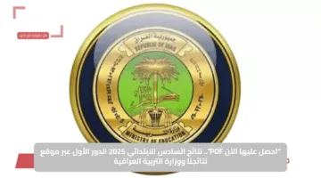 “احصل عليها الآن PDF”.. نتائج السادس الابتدائي 2025 الدور الأول عبر موقع نتائجنا ووزارة التربية العراقية