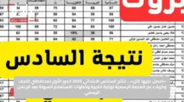 «احصل عليها الآن»… نتائج السادس الابتدائي 2025 الدور الأول لمحافظتي النجف وكربلاء عبر المنصة الرسمية لوزارة التربية وخطوات الاستعلام السهلة بعد الإعلان الرسمي