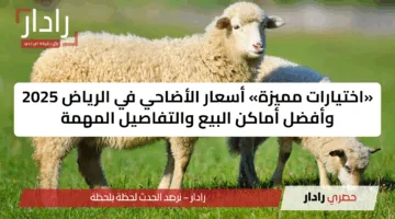 «اختيارات مميزة» أسعار الأضاحي في الرياض 2025 وأفضل أماكن البيع والتفاصيل المهمة
